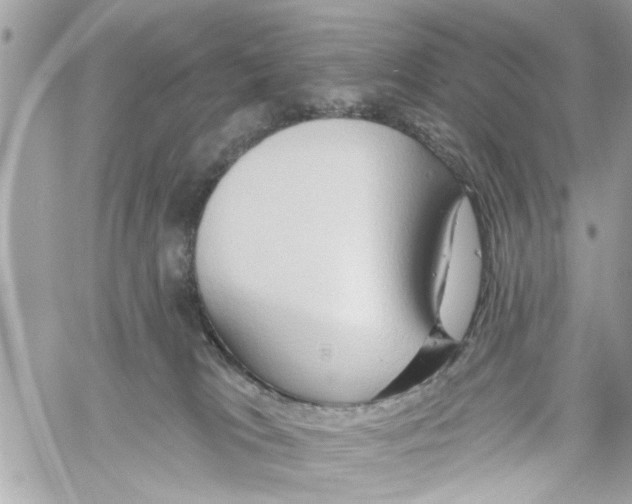 X0000059840037200511181524