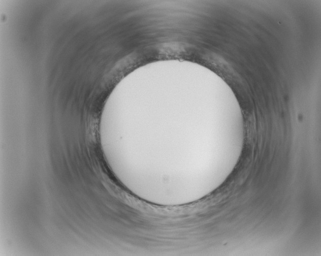 X0000059840038200511181524