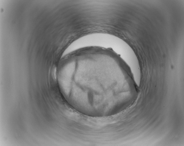 X0000059840041200511181524