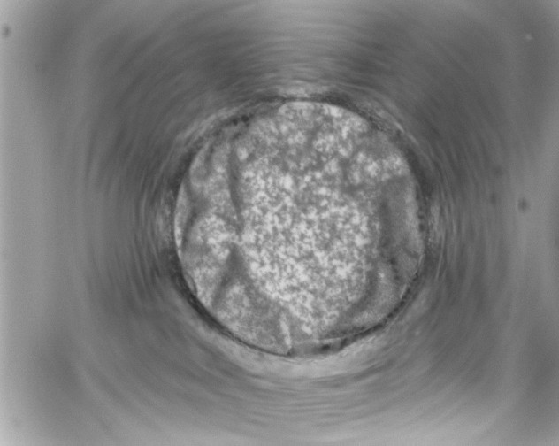 X0000059840043200511181524