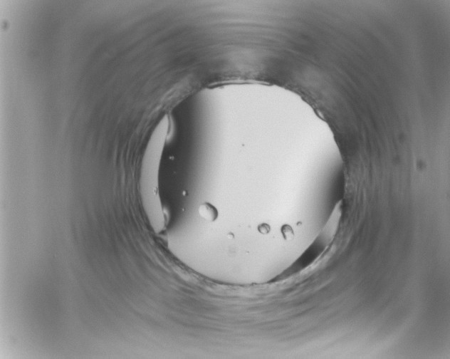 X0000059840045200511181524