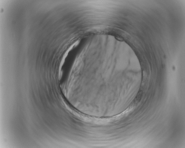 X0000059840048200511181524