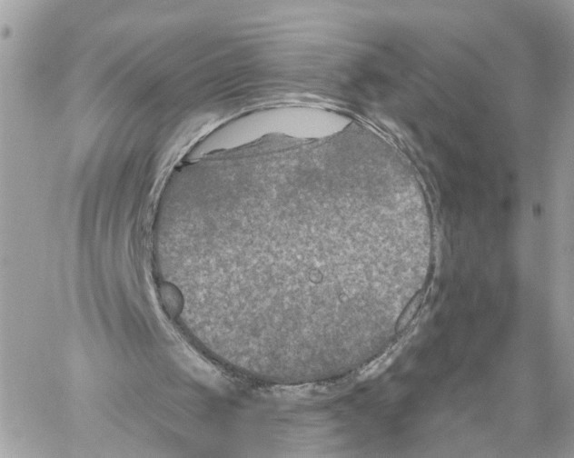 X0000059840049200511181523