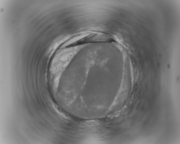 X0000059840050200511181523