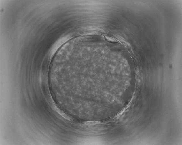 X0000059840051200511181523