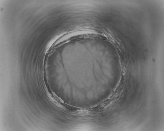 X0000059840052200511181523