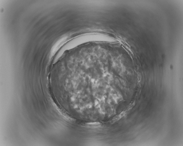 X0000059840053200511181523