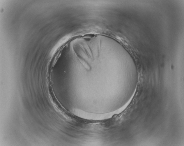 X0000059840054200511181523