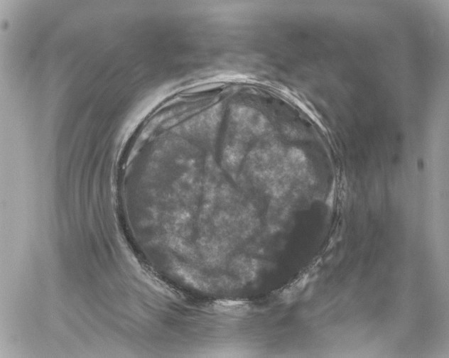 X0000059840055200511181523