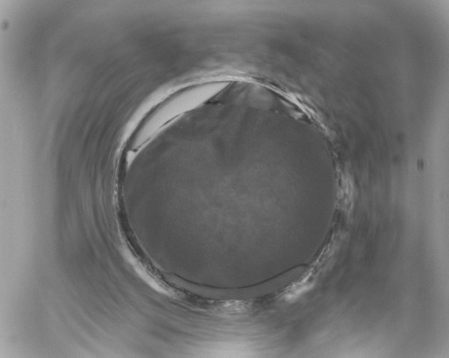 X0000059840056200511181523