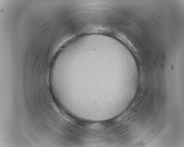 X0000059840058200511181523