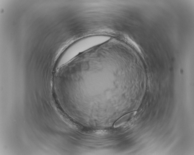 X0000059840059200511181523