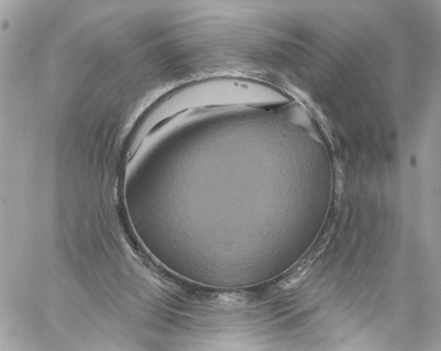 X0000059840060200511181523