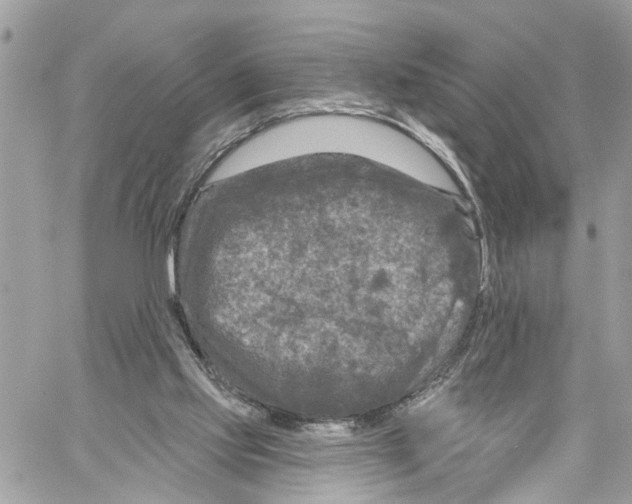 X0000059840061200511181523