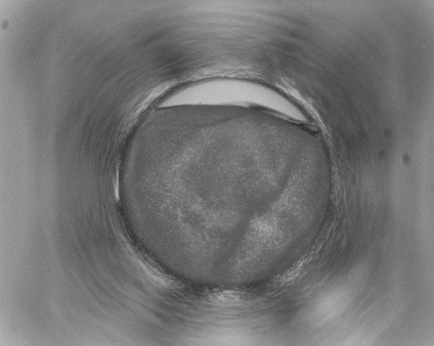 X0000059840062200511181523