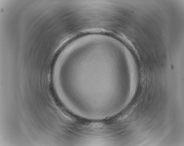 X0000059840063200511181523