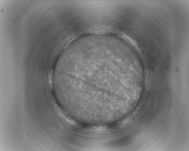 X0000059840065200511181523