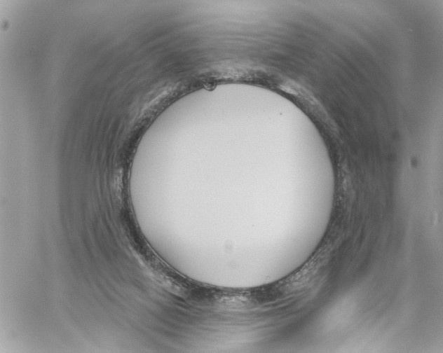 X0000059840066200511181523