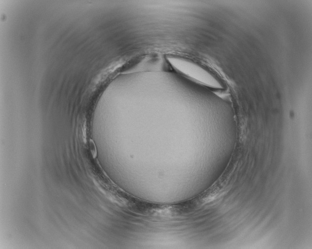 X0000059840068200511181523