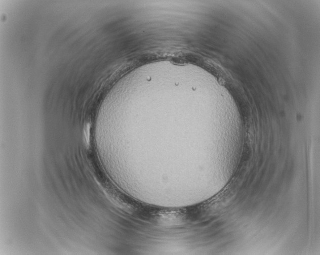 X0000059840070200511181524