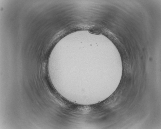 X0000059840071200511181524