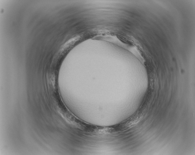 X0000059840072200511181524