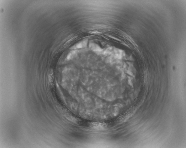 X0000059840073200511181524