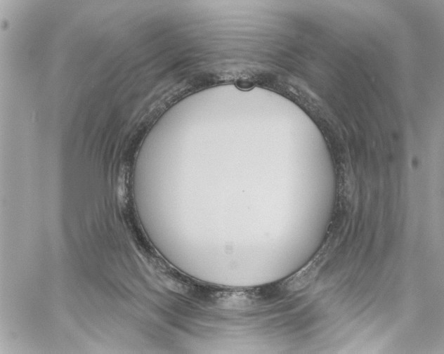 X0000059840074200511181524