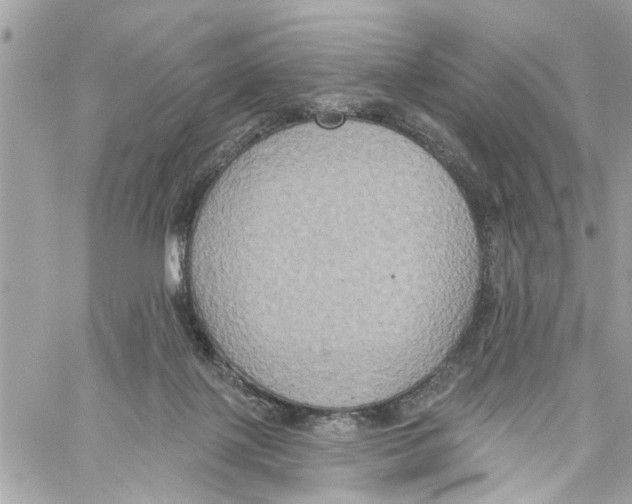 X0000059840075200511181524