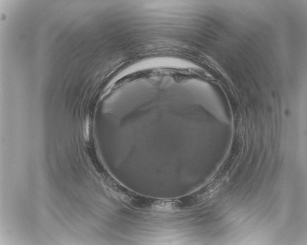 X0000059840076200511181524