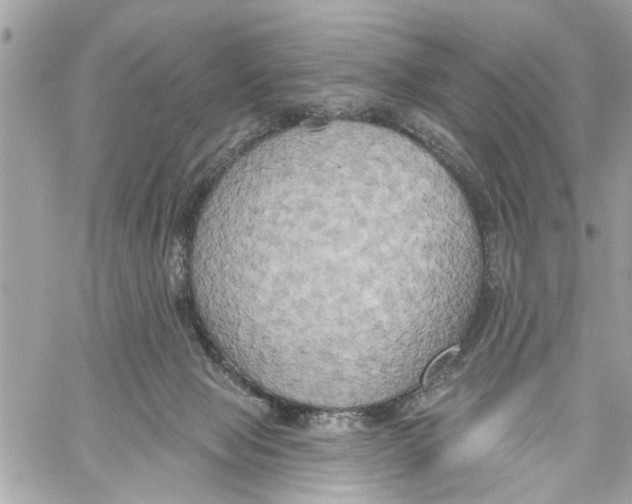 X0000059840077200511181524