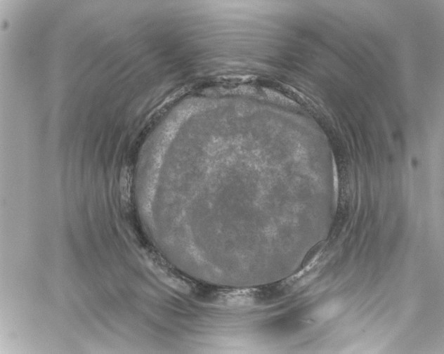 X0000059840078200511181524