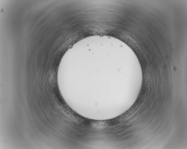 X0000059840079200511181524