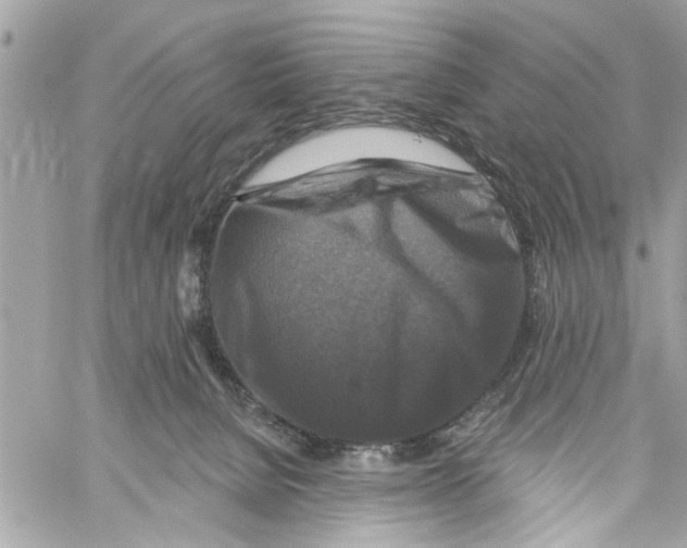 X0000059840080200511181524