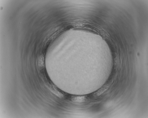 X0000059840081200511181524