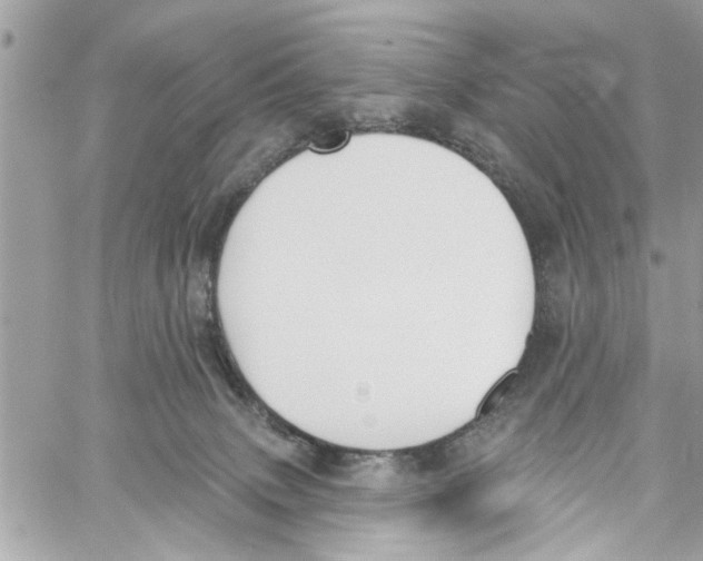 X0000059840083200511181524