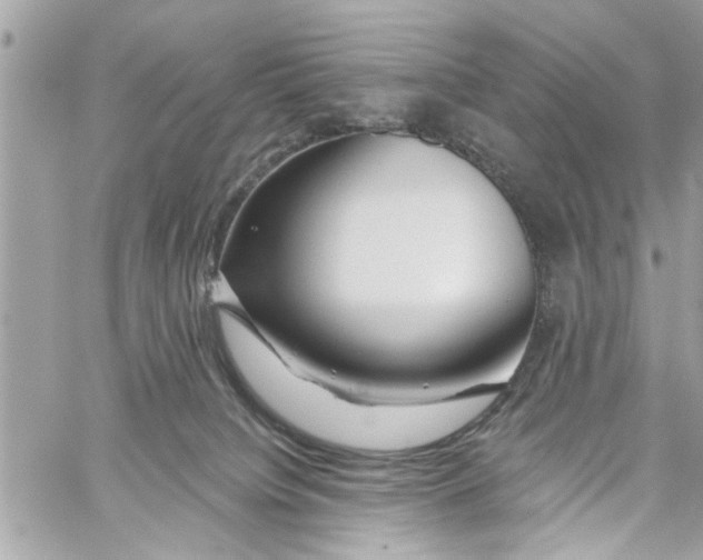 X0000059840084200511181524