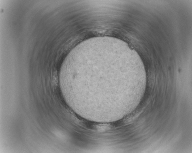 X0000059840085200511181524