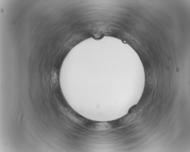 X0000059840087200511181524