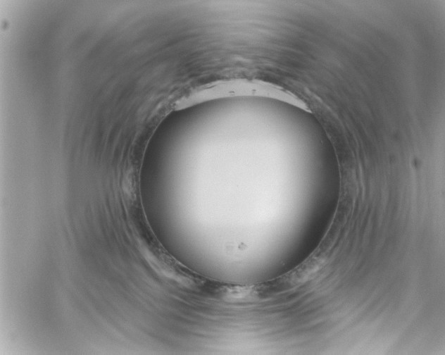 X0000059840088200511181524