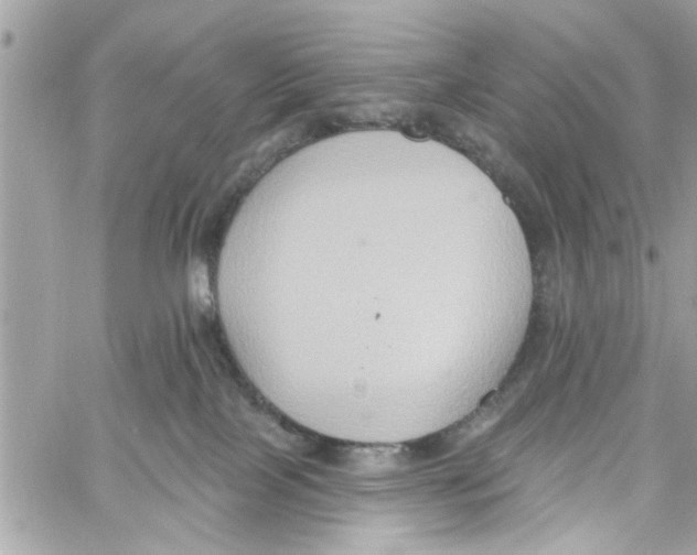 X0000059840089200511181524