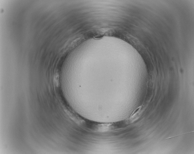 X0000059840090200511181524