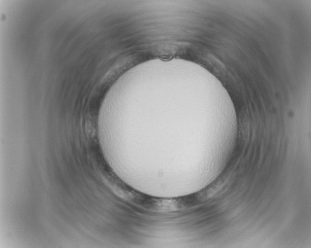 X0000059840091200511181524