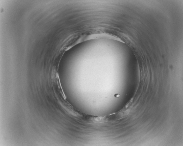 X0000059840092200511181524