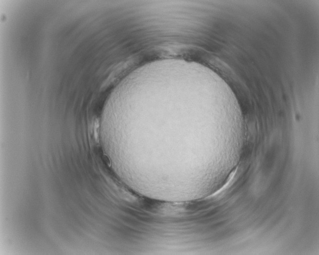 X0000059840094200511181524