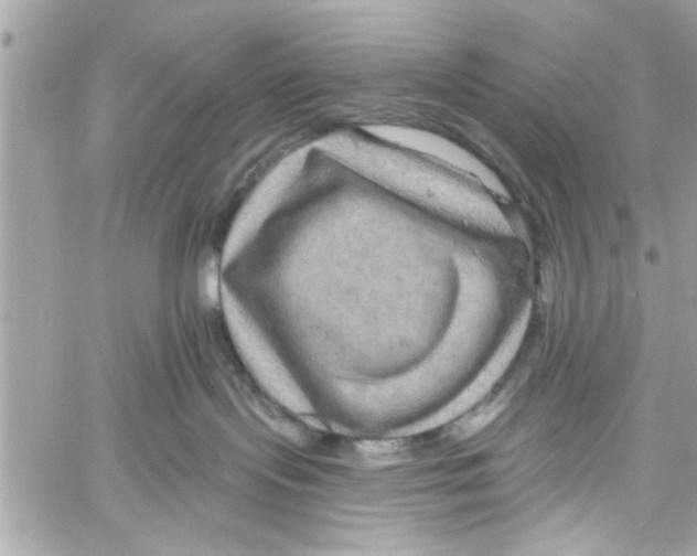 X0000059840095200511181524