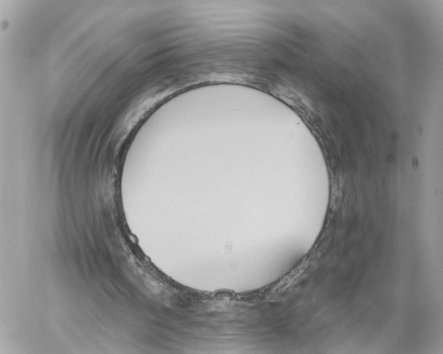 X0000059840098200511181523