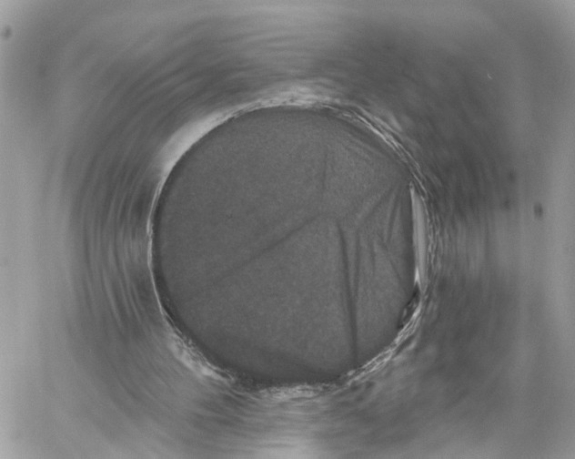 X0000059840100200511181523