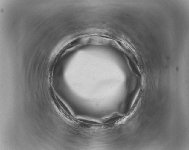 X0000059840101200511181523