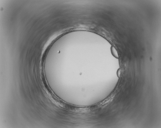 X0000059840102200511181523